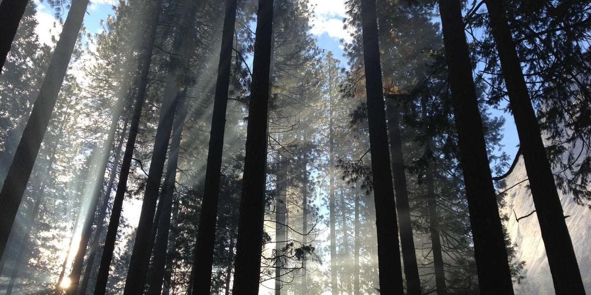 Najlepszy czas na publikowanie w mediach społecznościowych