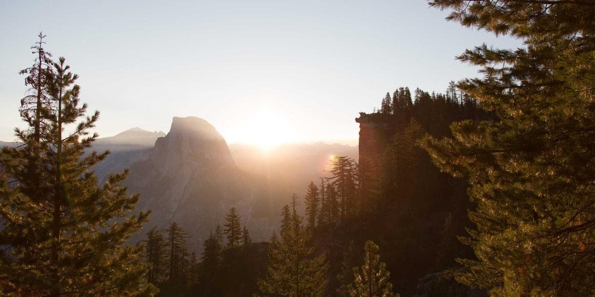 Instagram Reels vs TikTok: Gdzie bardziej opłaca się tworzyć?