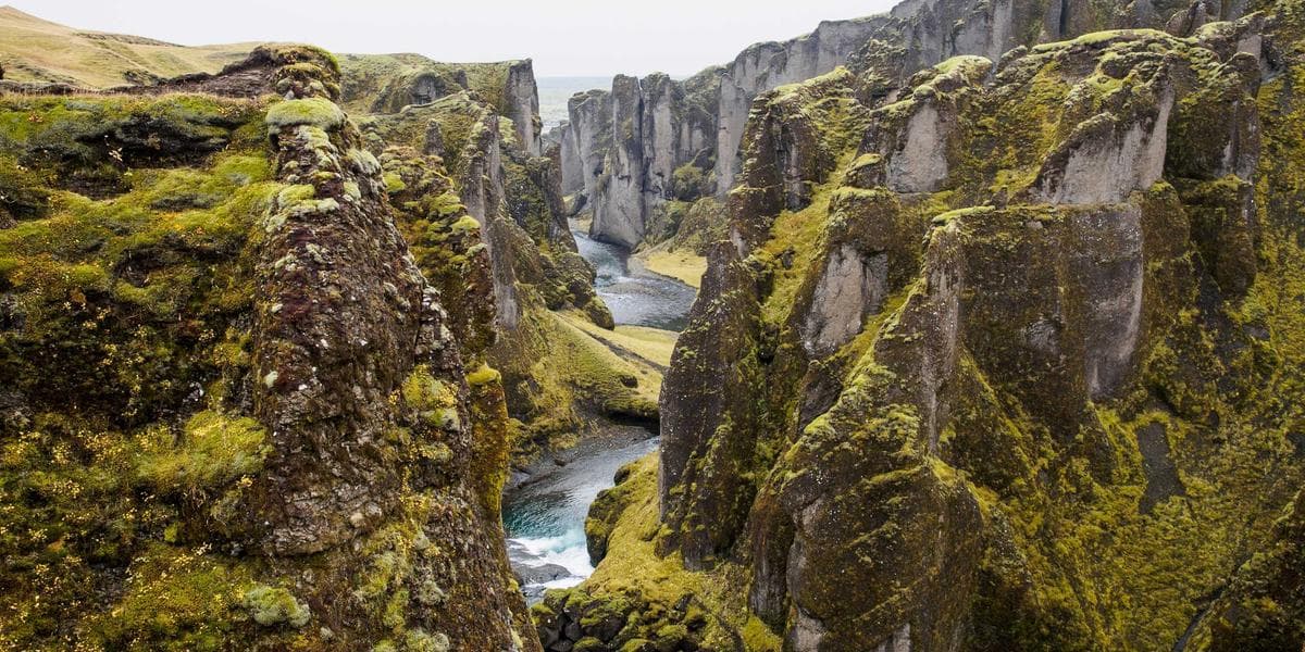 Algorytm TikToka: Jak działa i jak go wykorzystać